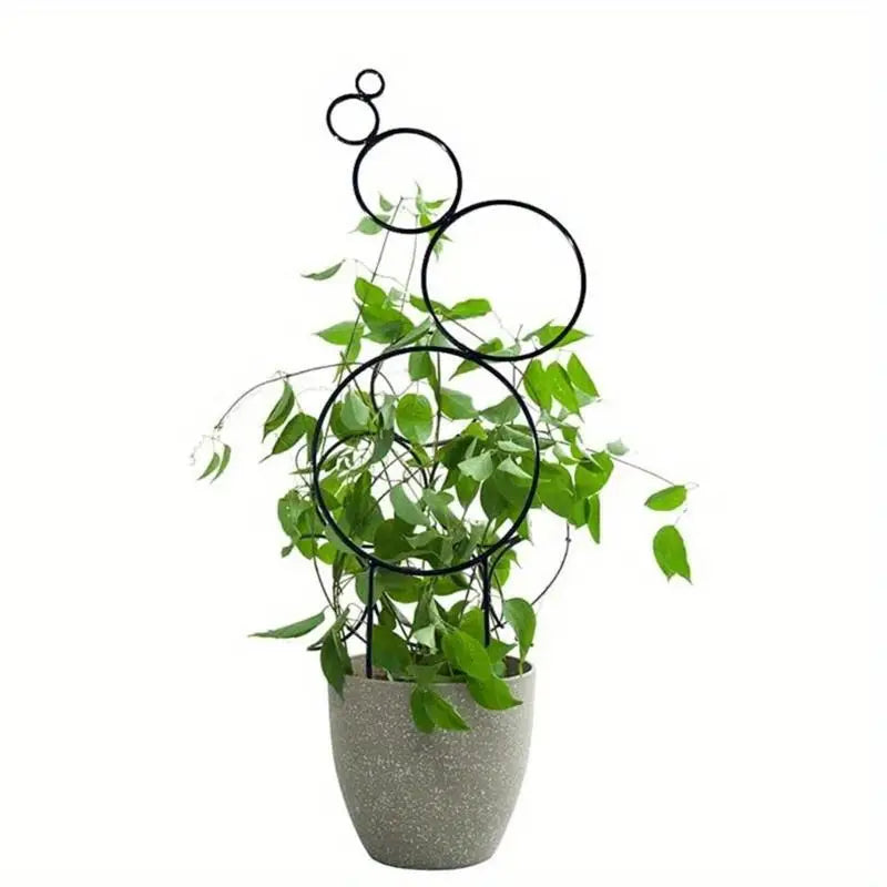 plant support