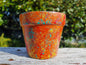 Hand Painted Plant Pot Orange and Turquoise