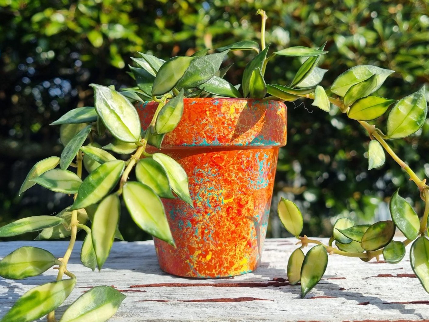 Hand Painted Plant Pot Orange and Turquoise