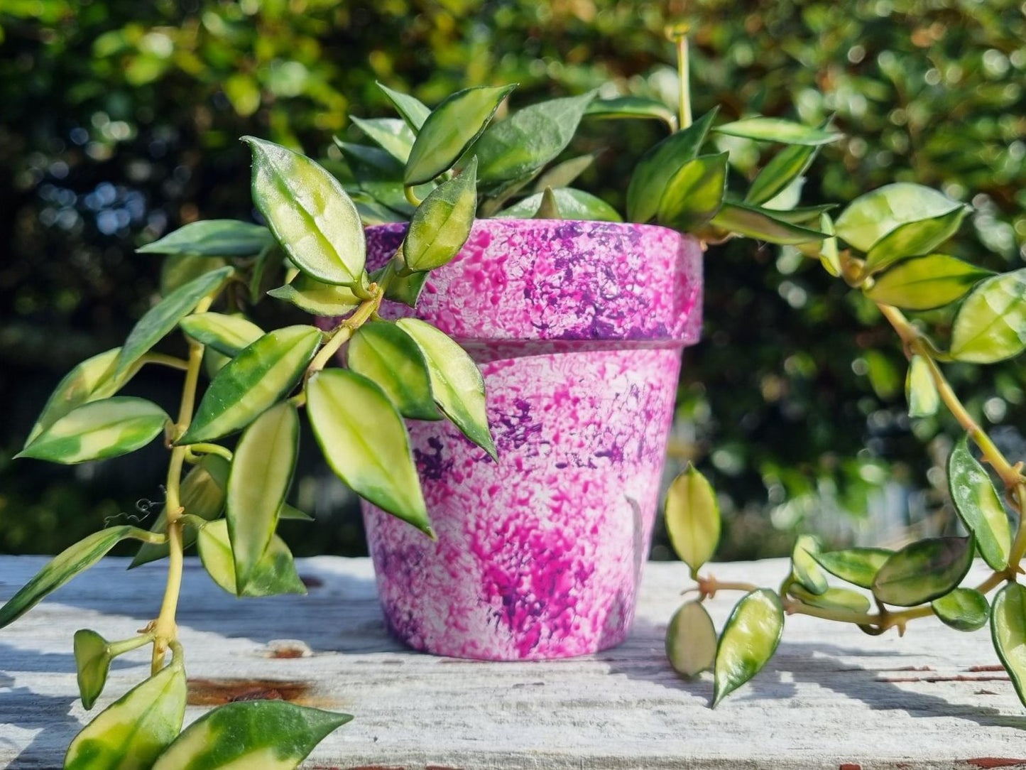 Hand Painted Plant Pot Purple