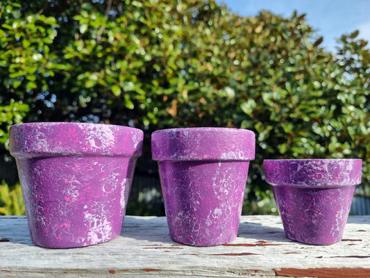 Hand Painted Plant Pot Purple