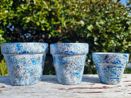 plant pot